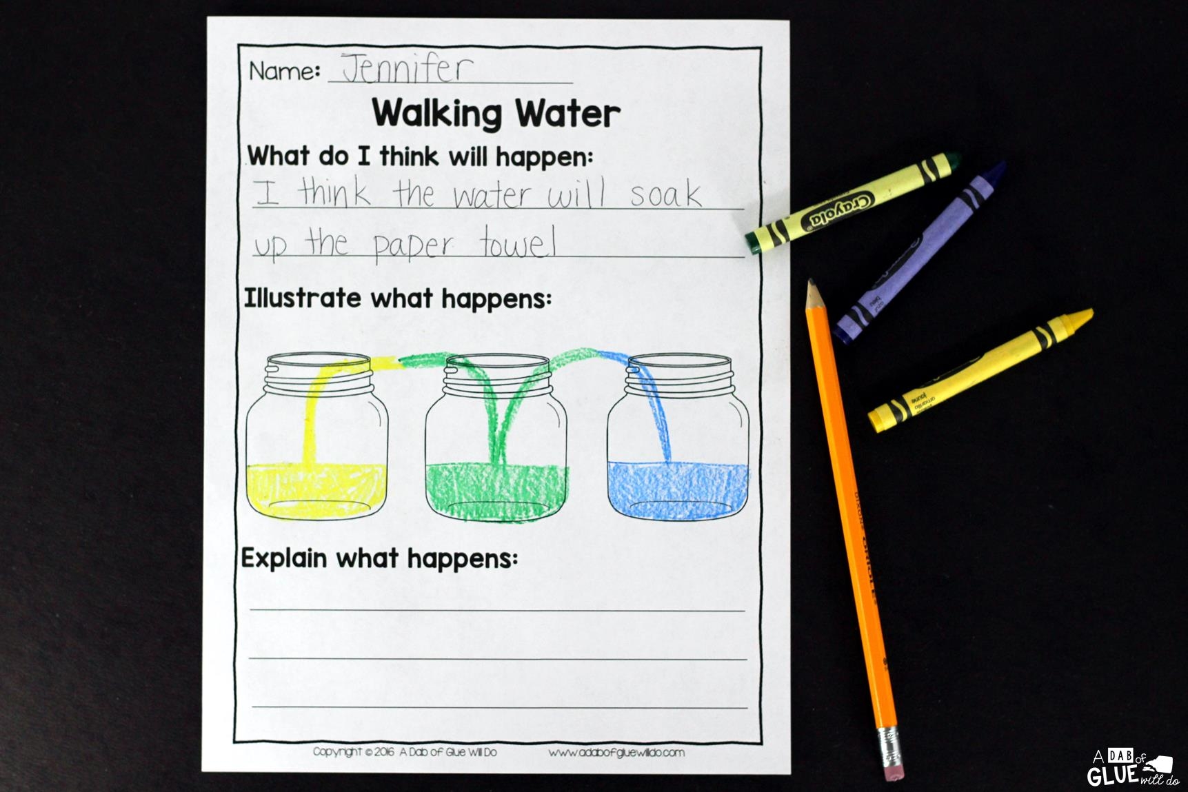 Walking Water Science Activity For Kids 
